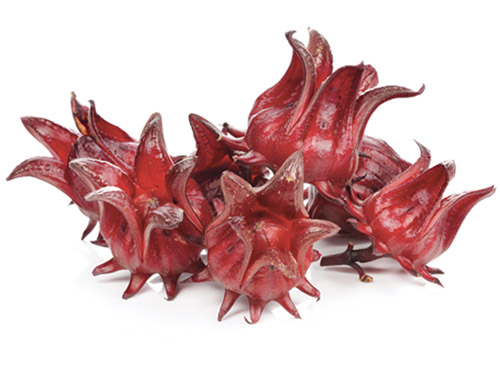 L'hibiscus